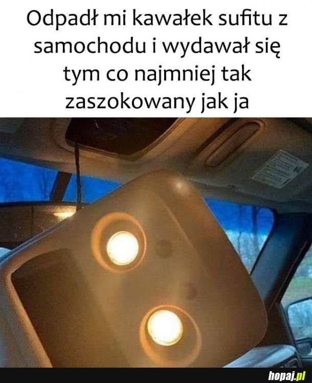 Zdziwionko