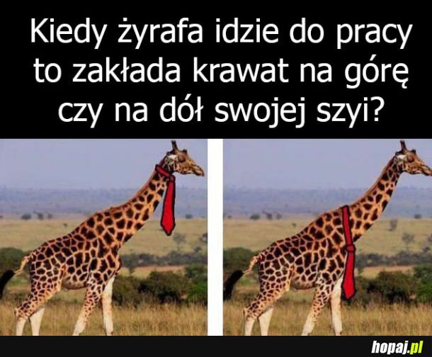 Jak to jest?