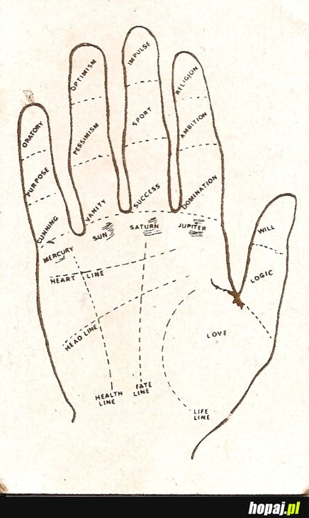 Rzuć okiem na swoją rękę