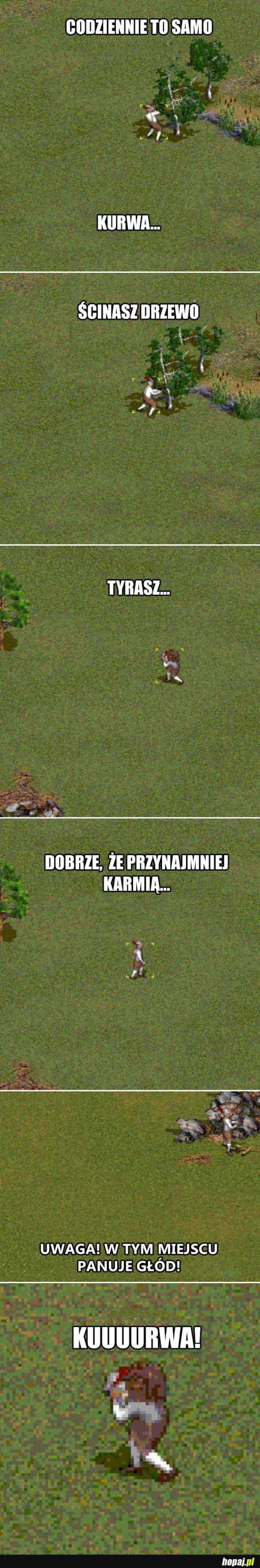 KOZACY