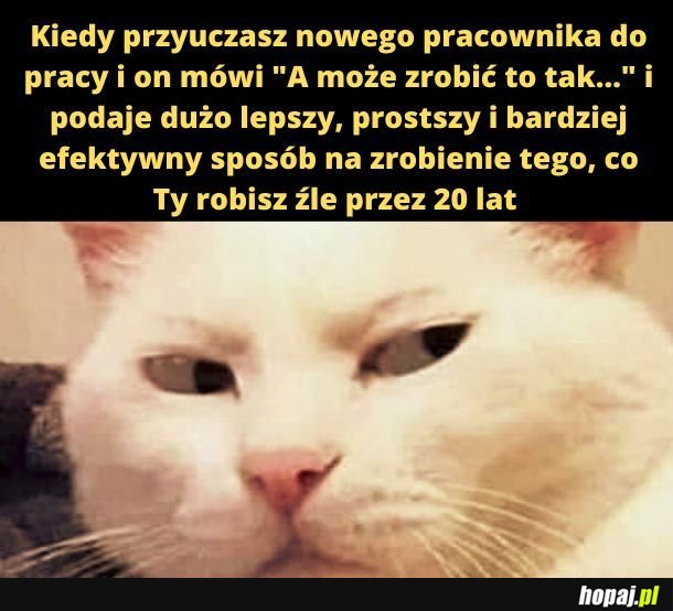 Nie wymądrzaj się! 