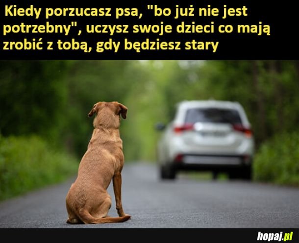Warto pamiętać
