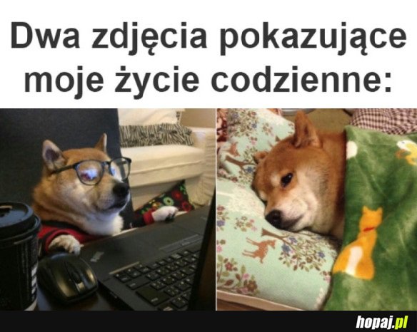 PRAWDA O ŻYCIU