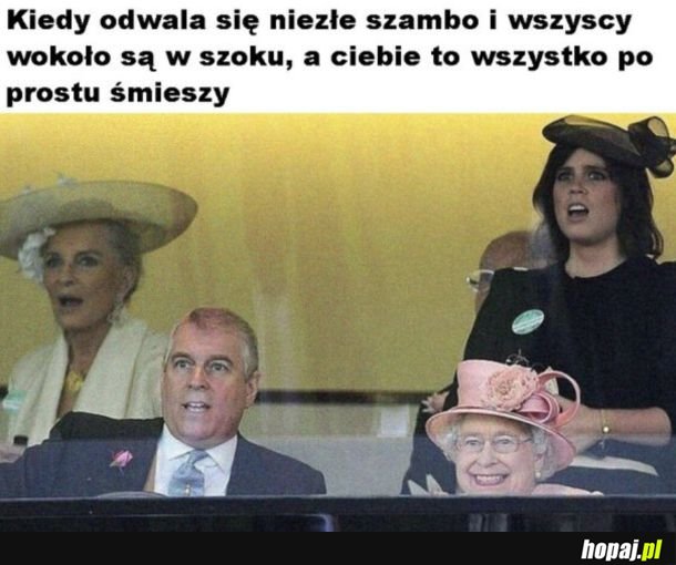 Zostało już tylko się śmiać