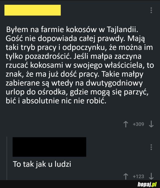 Całkiem podobnie