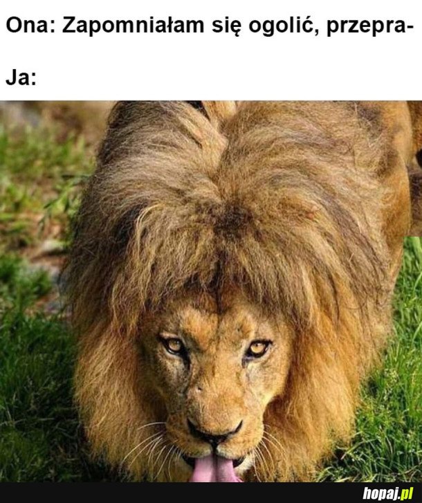 NIE PRZESZKADZA MI TO