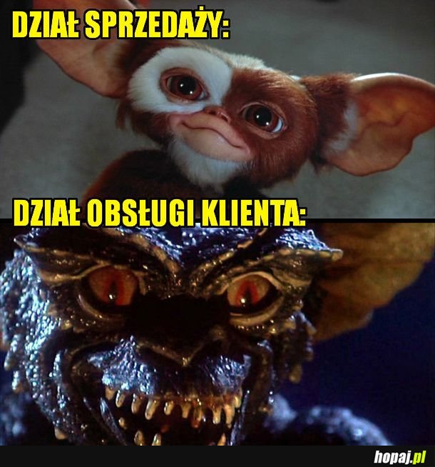 Obsługa klienta