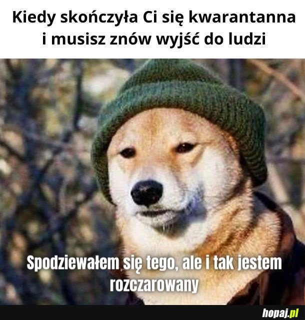 Teraz znów muszę naściemniać, że miałem z kimś kontakt