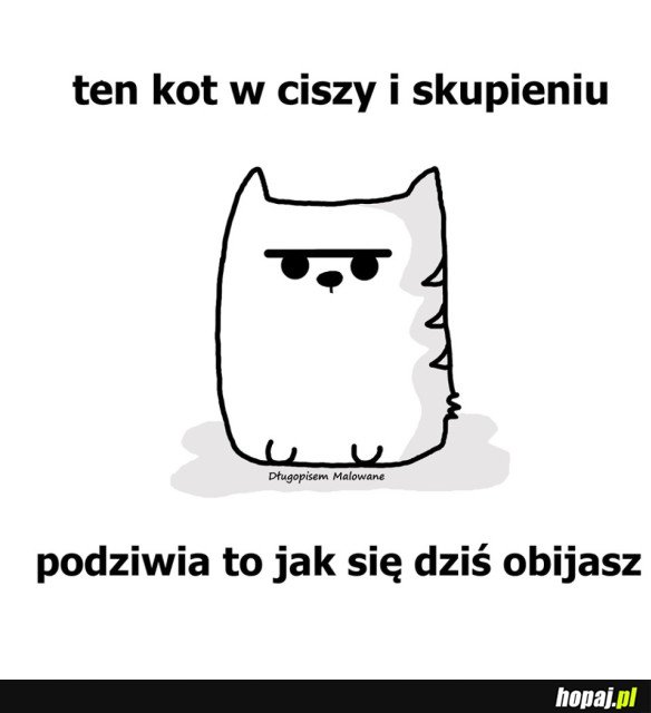 I DUMNY TY Z SIEBIE JESTEŚ?