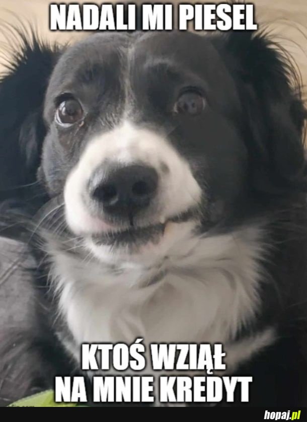 A mógł zastrzec.