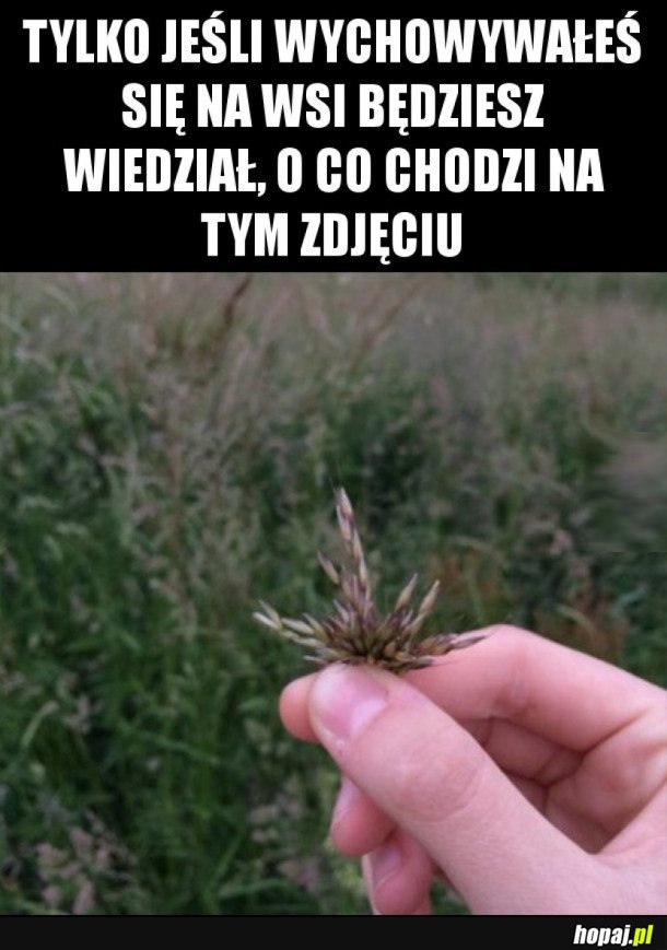 WIESZ O CO CHODZI NA TYM ZDJĘCIU?