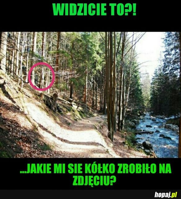 NO TYLKO POPATRZ