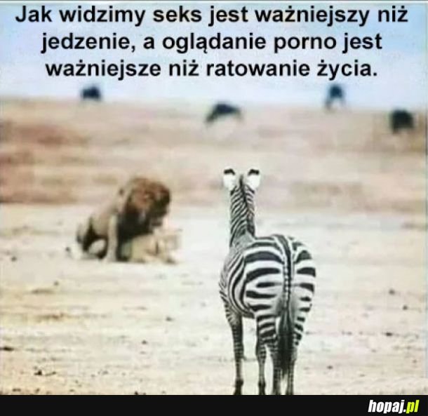 Każdy ma inne priorytety