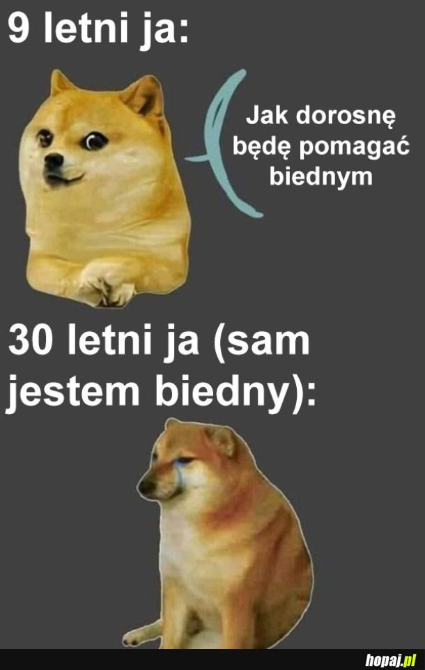 Bieda