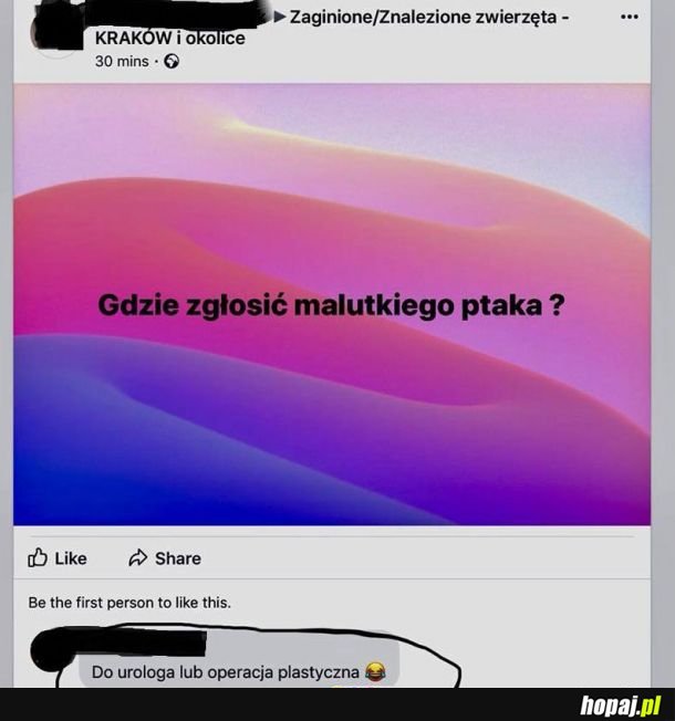 Malutki ptak 