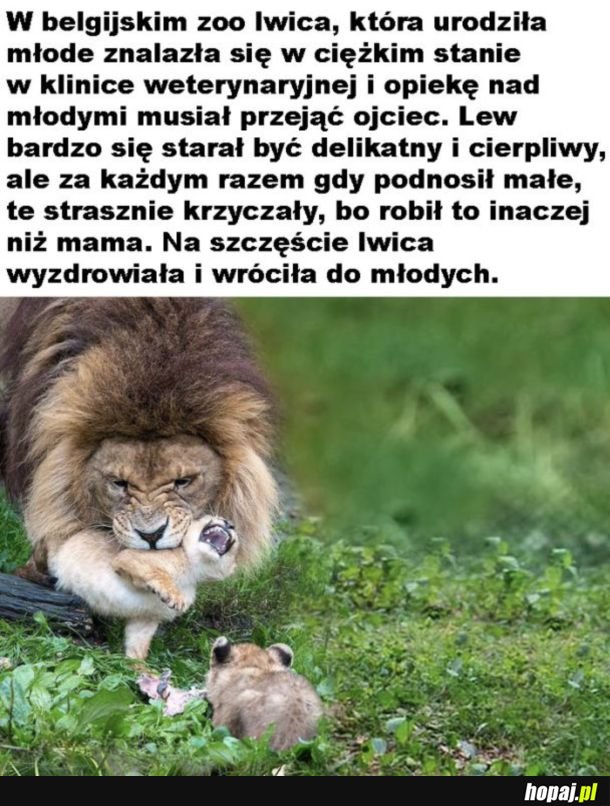 Starał się