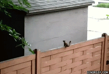 Hop hopaj!