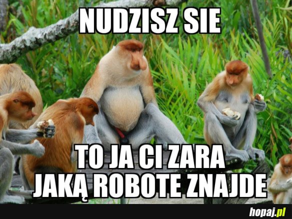 KAŻDY TO SŁYSZAŁ