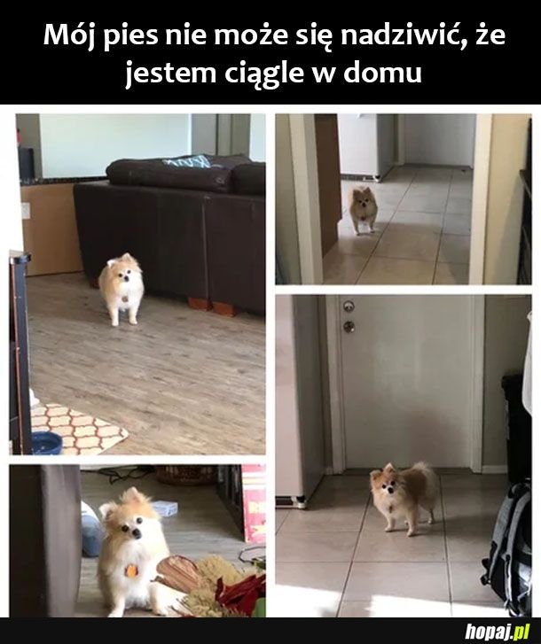 Co ty tu robisz