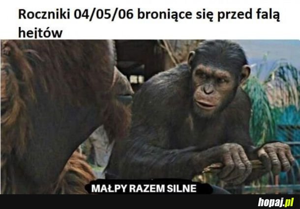  03 najlepszy rocznik