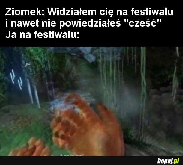 Festiwal