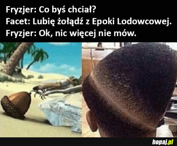 Co byś chciał