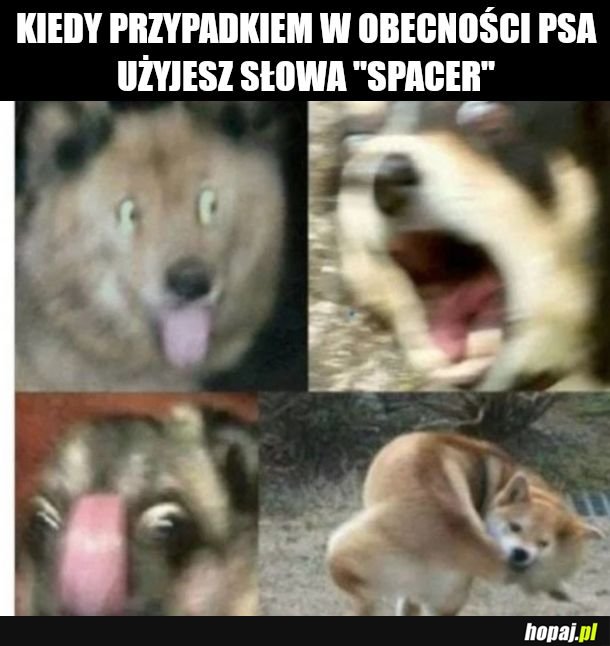 Jajjj