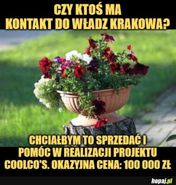Kraków.