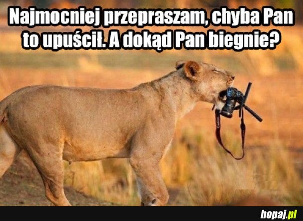 UCZYNNA LWICA