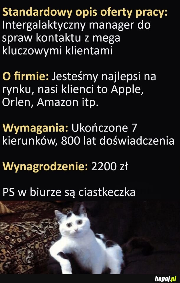 Wymagania z kosmosu do świetnie płatnej pracy