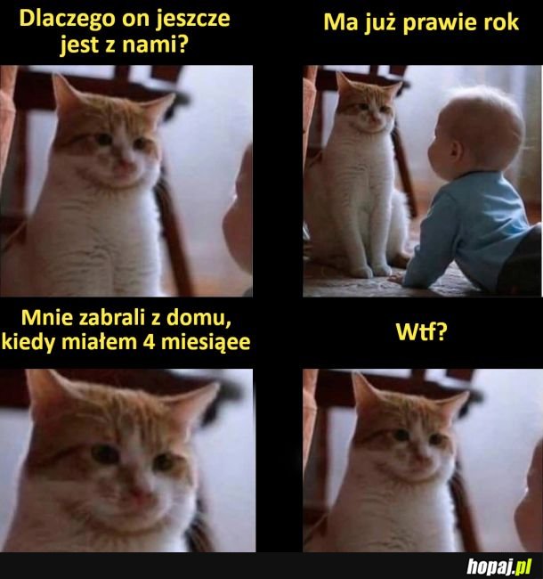 Ile jeszcze?