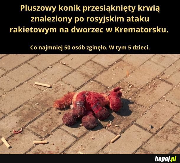 Przyznam, że gdy zobaczyłem to zdjęcie, to się rozpłakałem