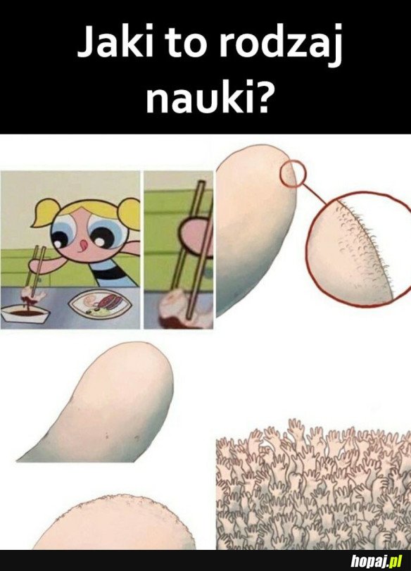 NAUKA