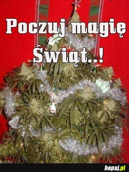 Poczuj magię Świąt!