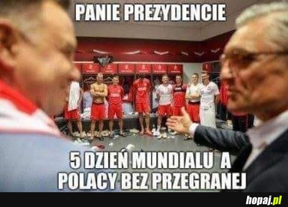 Pan patrzy