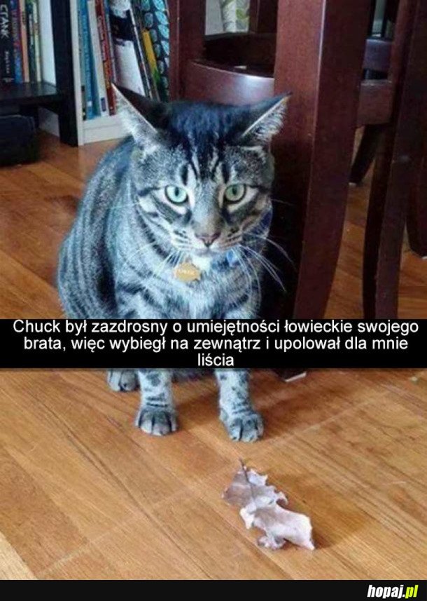 PIĘKNY PREZENT, DZIĘKUJĘ PAN KOTEŁ