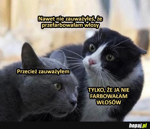 No to przypał