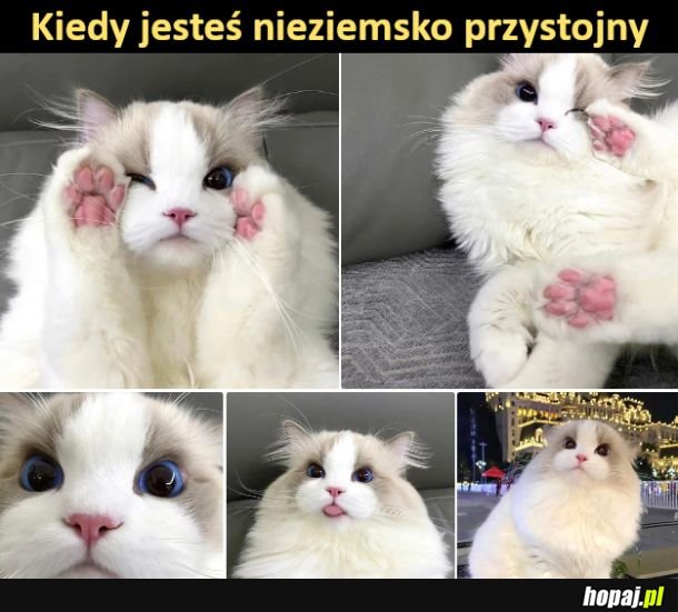 Cóż za przystojniak