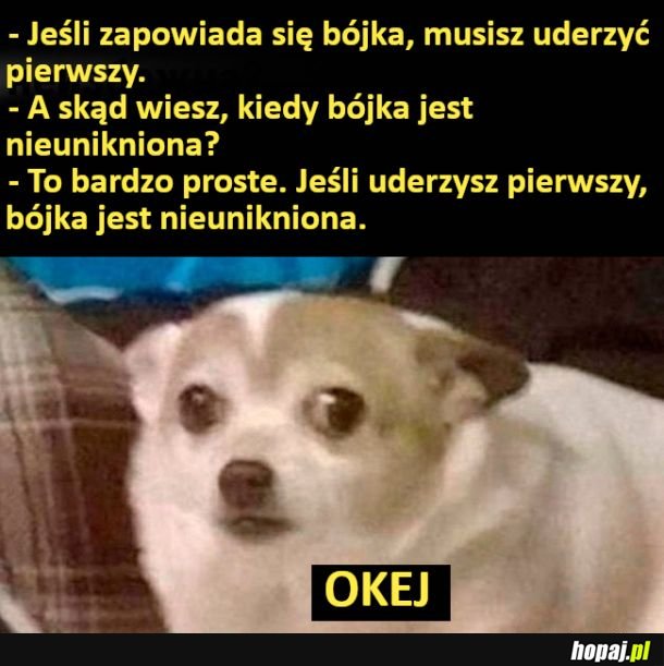 Bójka