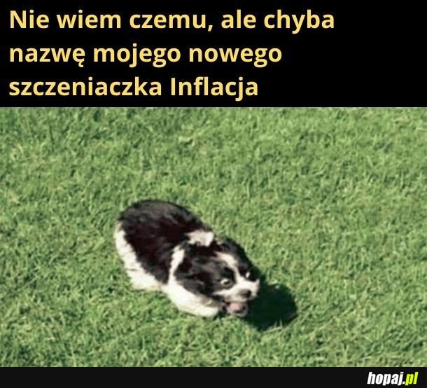 Bo tak zapie... biega szybko