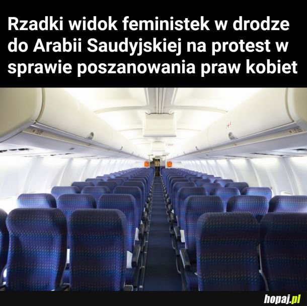 Feminizm tak bardzo...