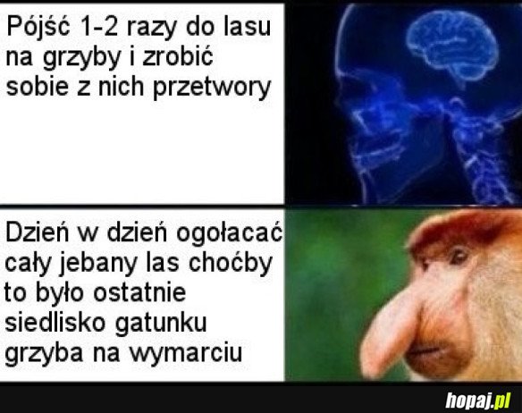 A, ŻE GRZYBY CIĘŻKOSTRAWNE...