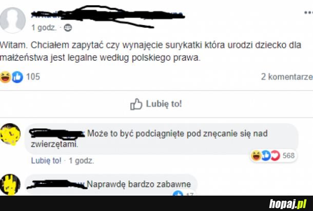 Biedne zwierzę