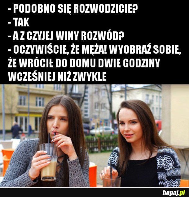 FACECI TO ŚWINIE