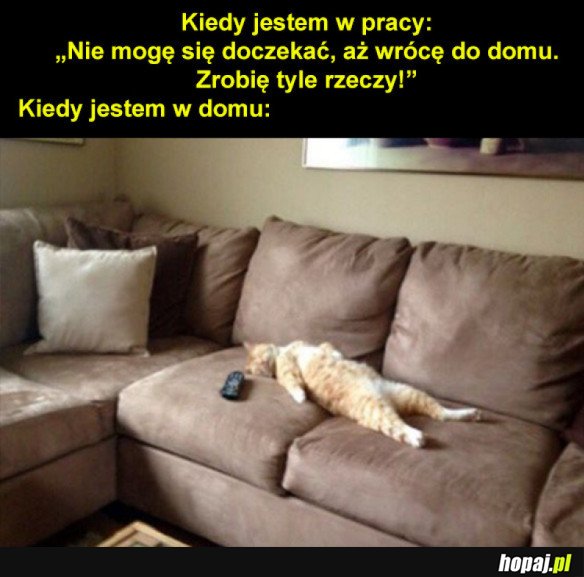 Tyle rzeczy