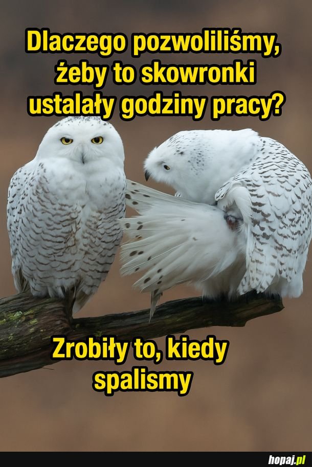 Ma to sens