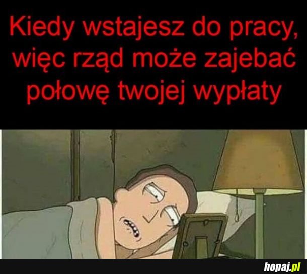 Kochany rząd 