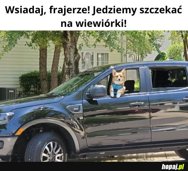 Wsiadam!