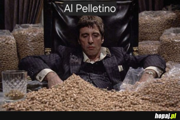 Już wiadomo kto trzyma łapy na pellecie