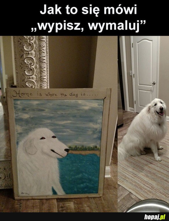 REKSIO JAK ŻYWY